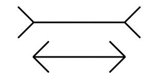 "Test myjni" sprawdza Twoją inteligencję, a nie inteligencję AI, grafika 4